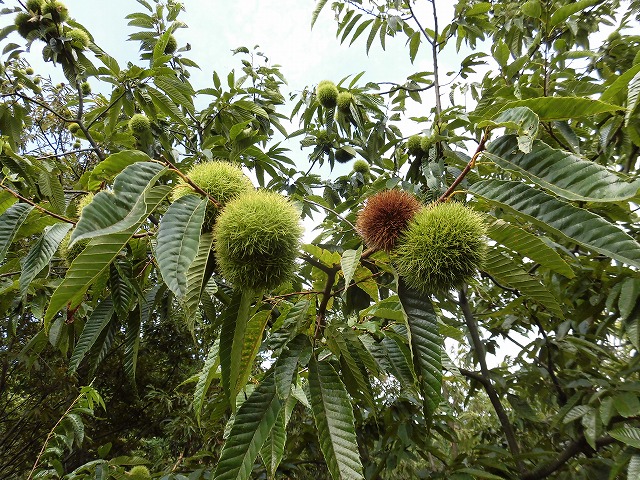 %e5%86%99%e7%9c%9f%ef%bc%91