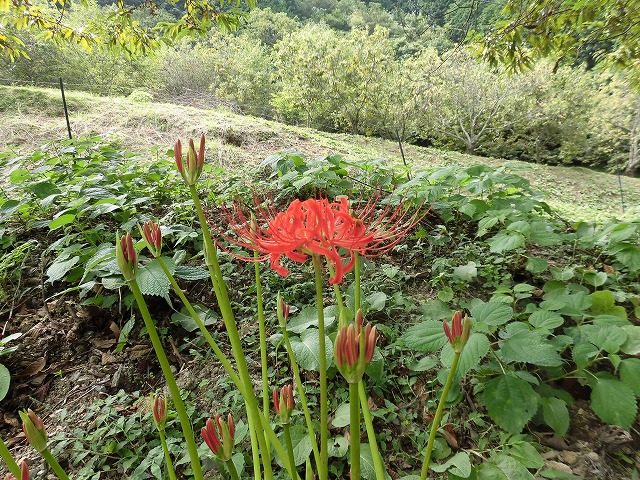 %e5%86%99%e7%9c%9f%ef%bc%93